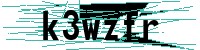 Security verification captcha