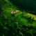 Ooty hotels